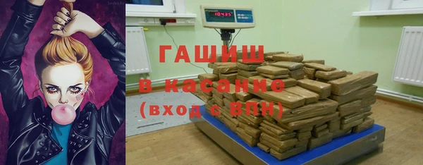 хмурый Алексин