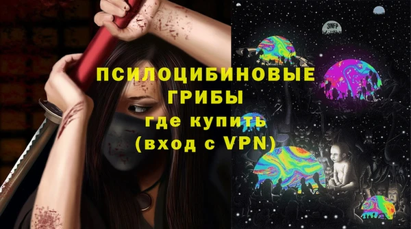 хмурый Алексин
