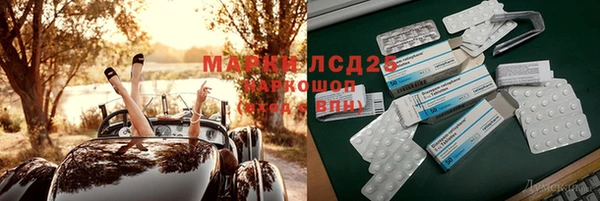 хмурый Алексин